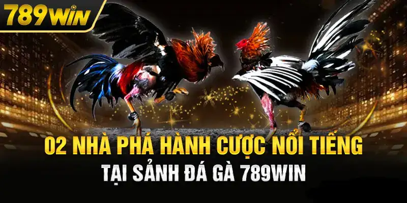 2 nhà phát hành cược đá gà 789win