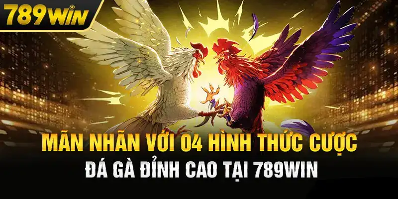 4 hình thức cược đá gà đỉnh cao tại đá gà 789win