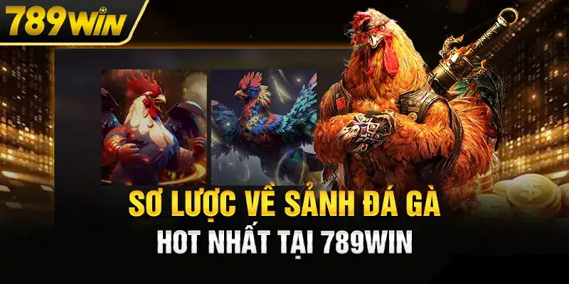 Tổng quan sảnh đá gà 789win